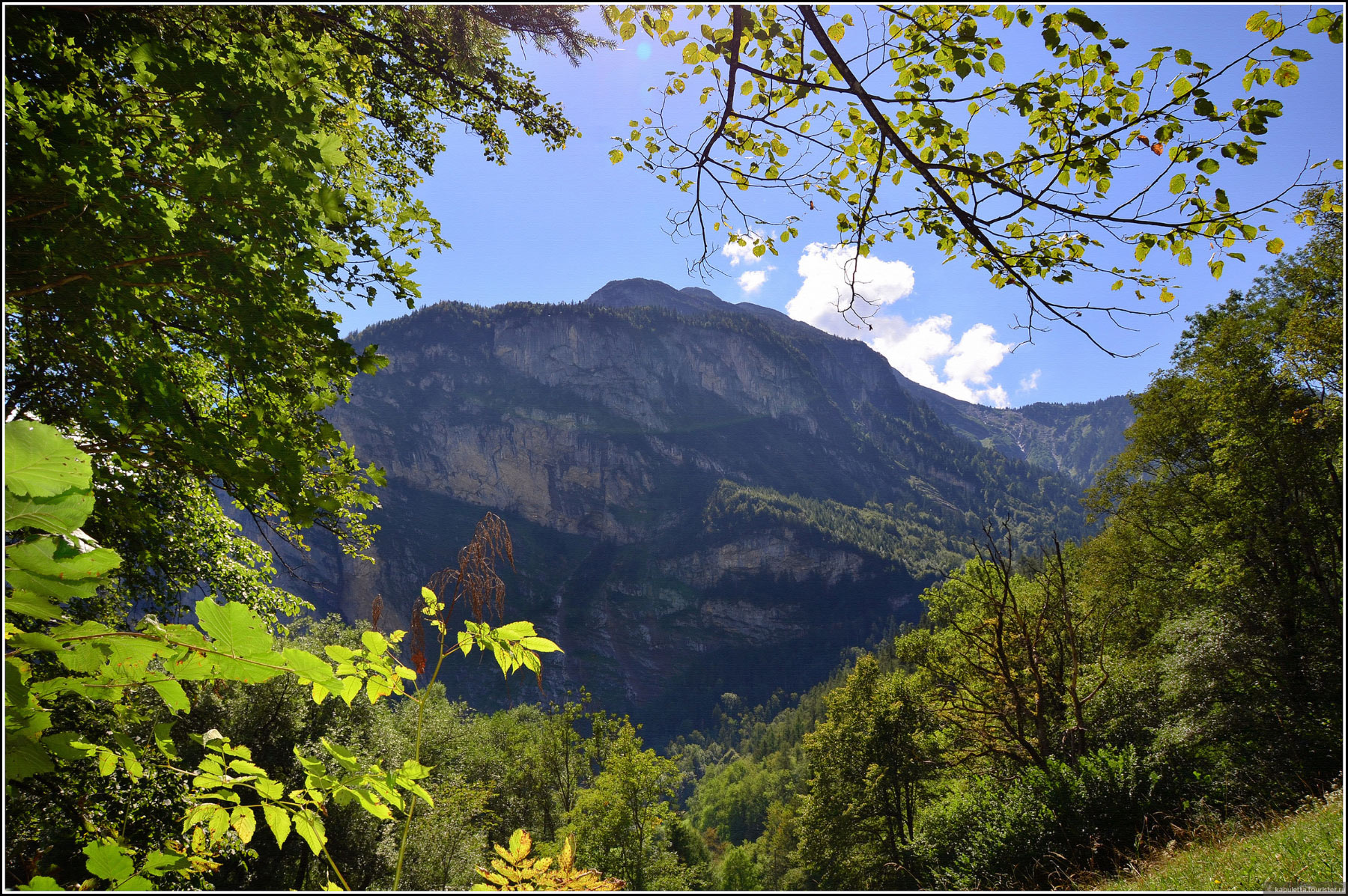 Aareschlucht